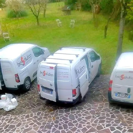 biosolution la squadra anti tarlo
