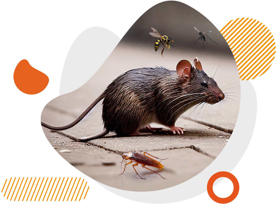 biosolution antitarlo derattizzazione monitoraggio topi e ratti