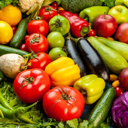 Biosolution pest managment company alimenti